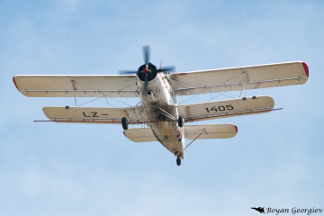 An-2 ColtАн-2
