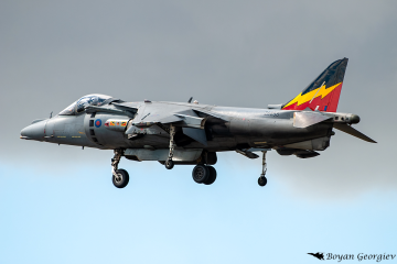 Harrier
