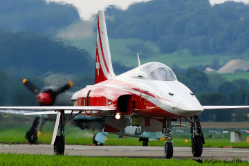 Patrouille Suisse F-5 Ф-5