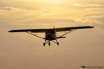 Ikarus C-42