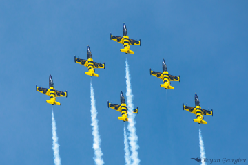 Baltic bees L-39 Л-39