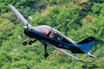 Beagle B121