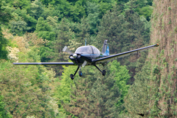 Beagle B121