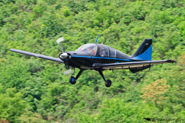 Beagle B121