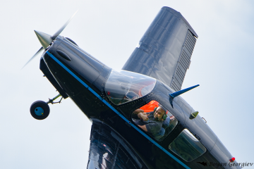 Beagle B121