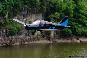 Beagle B121