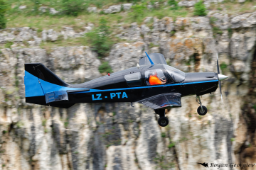 Beagle B121