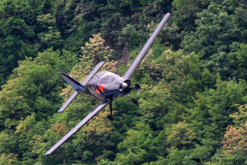 Beagle B121