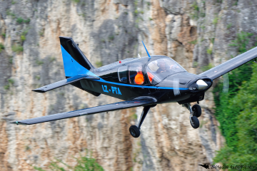 Beagle B121