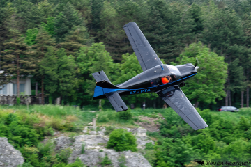 Beagle B121