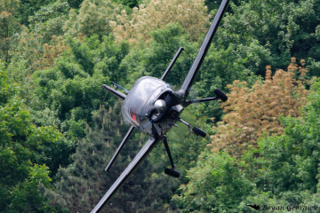 Beagle B121