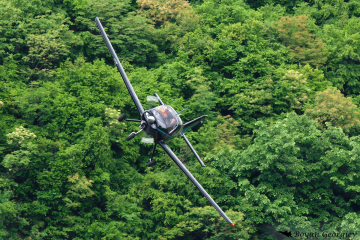 Beagle B121