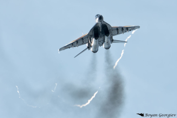 MiG-29 Fulcrum МиГ-29