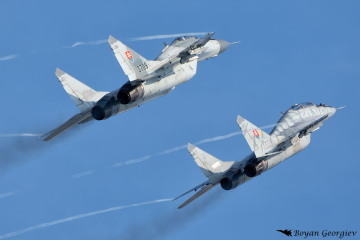 MiG-29 Fulcrum МиГ-29