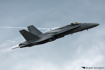 F/A-18 Hornet Хорнет