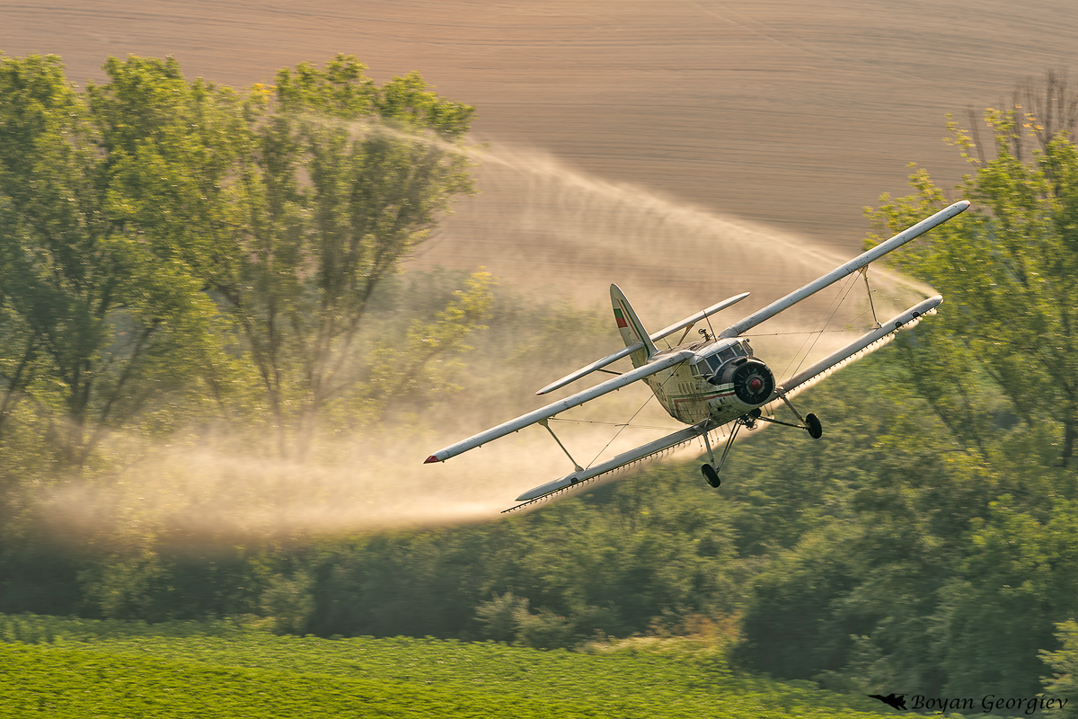 AN-2 AT WORK, Maslarevo village, 05.07.2026